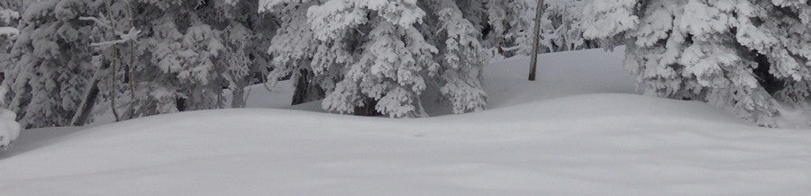 Managing your parlor this winter - NMC