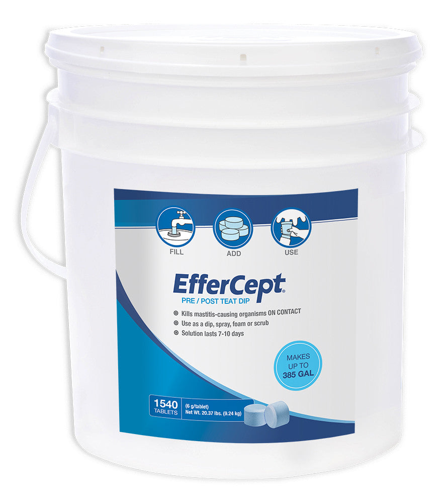EfferCept - 1540 Tablet Pail